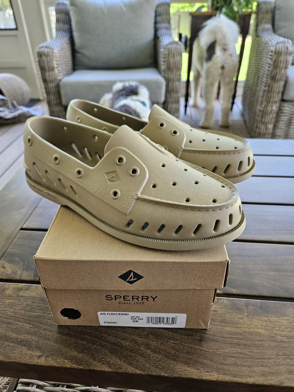 Sperry Women's Slip-On Casual Shoes in Light Beige